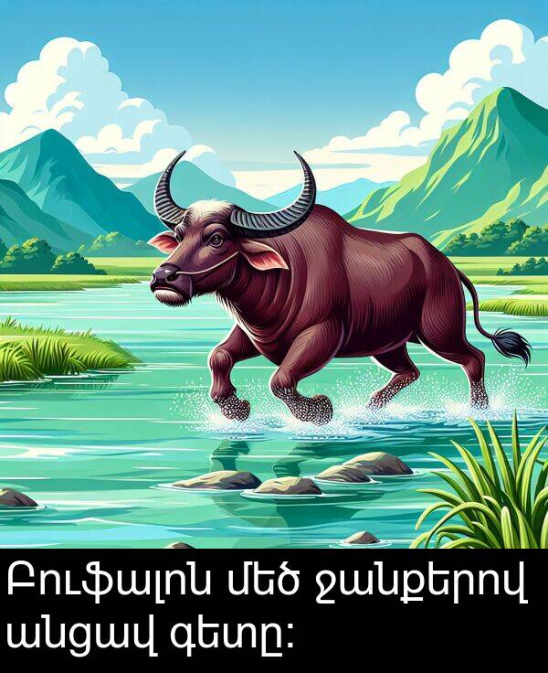 ջանքերով: Բուֆալոն մեծ ջանքերով անցավ գետը: