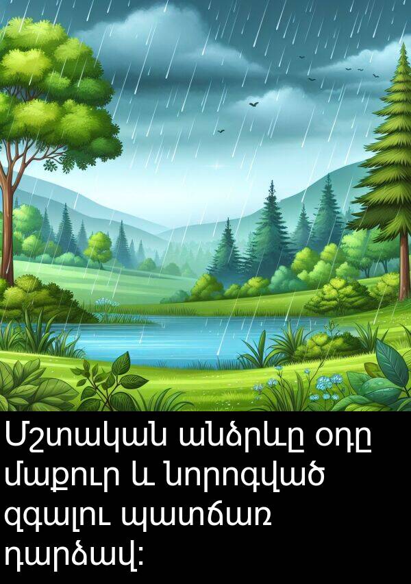 օդը: Մշտական անձրևը օդը մաքուր և նորոգված զգալու պատճառ դարձավ։