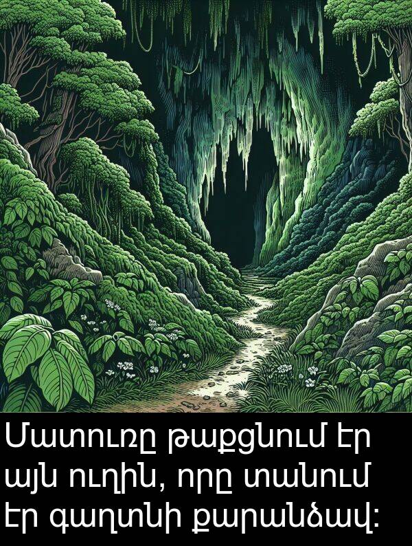 ուղին: Մատուռը թաքցնում էր այն ուղին, որը տանում էր գաղտնի քարանձավ։