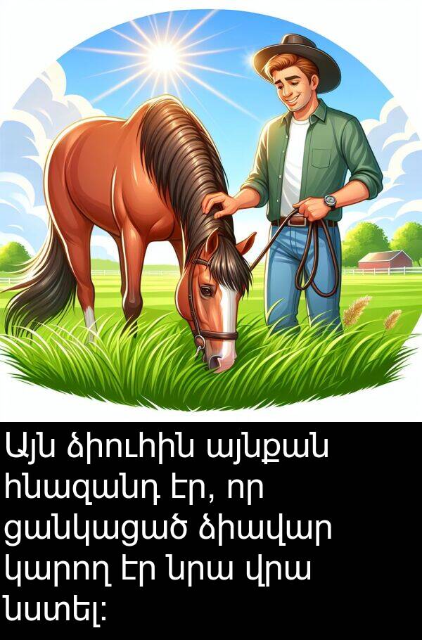 ձիուհին: Այն ձիուհին այնքան հնազանդ էր, որ ցանկացած ձիավար կարող էր նրա վրա նստել: