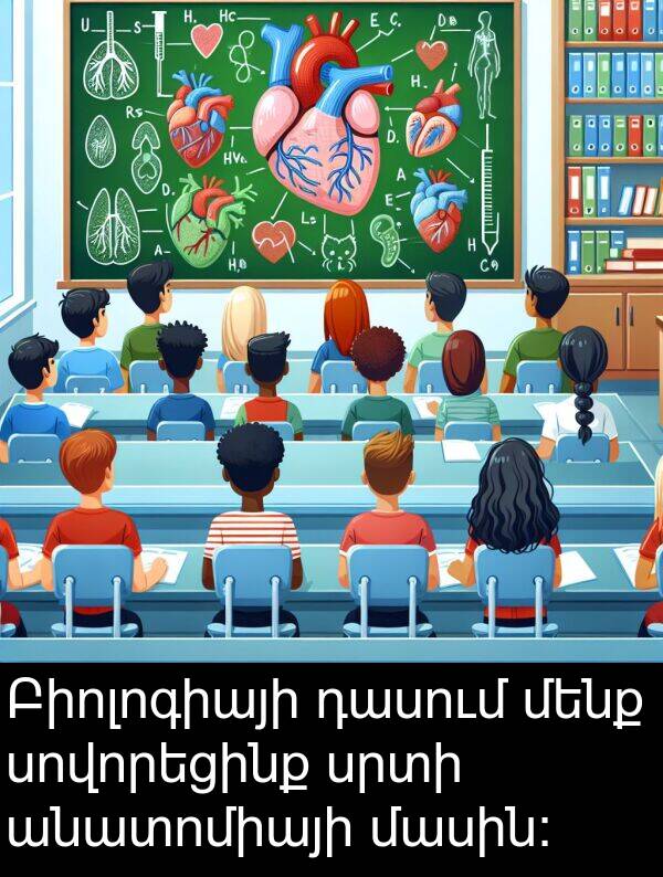 մասին: Բիոլոգիայի դասում մենք սովորեցինք սրտի անատոմիայի մասին: