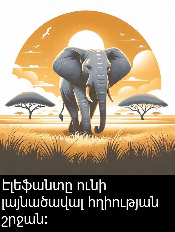 լայնածավալ: Էլեֆանտը ունի լայնածավալ հղիության շրջան: