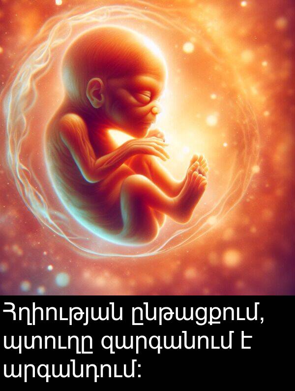 ընթացքում: Հղիության ընթացքում, պտուղը զարգանում է արգանդում: