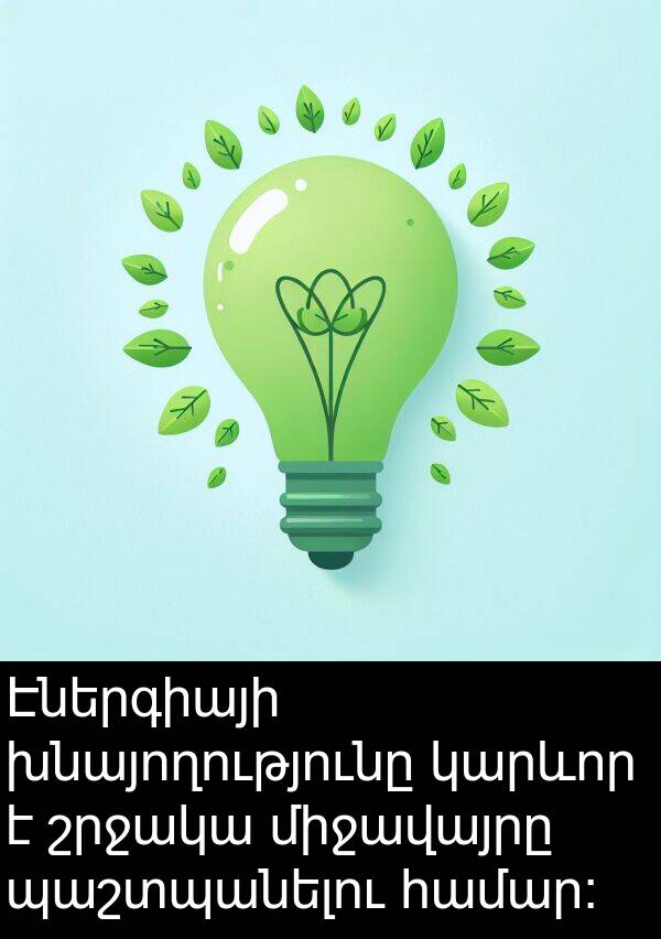 պաշտպանելու: Էներգիայի խնայողությունը կարևոր է շրջակա միջավայրը պաշտպանելու համար։