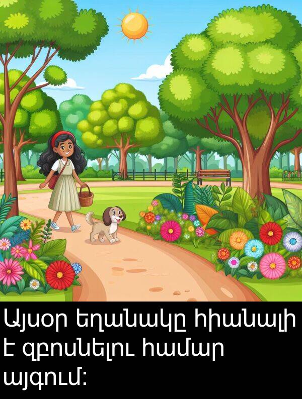 համար: Այսօր եղանակը հիանալի է զբոսնելու համար այգում:
