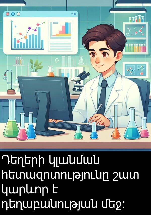 դեղաբանության: Դեղերի կլանման հետազոտությունը շատ կարևոր է դեղաբանության մեջ: