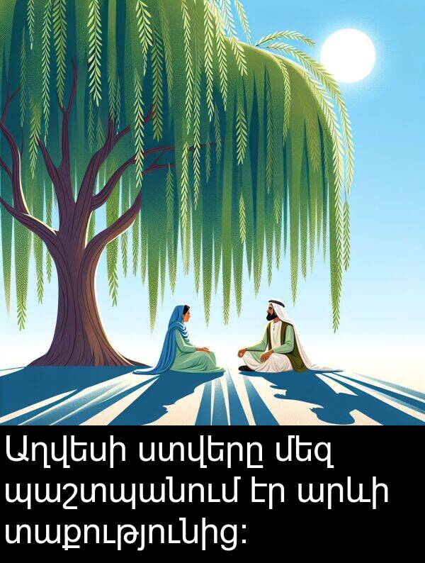 մեզ: Աղվեսի ստվերը մեզ պաշտպանում էր արևի տաքությունից: