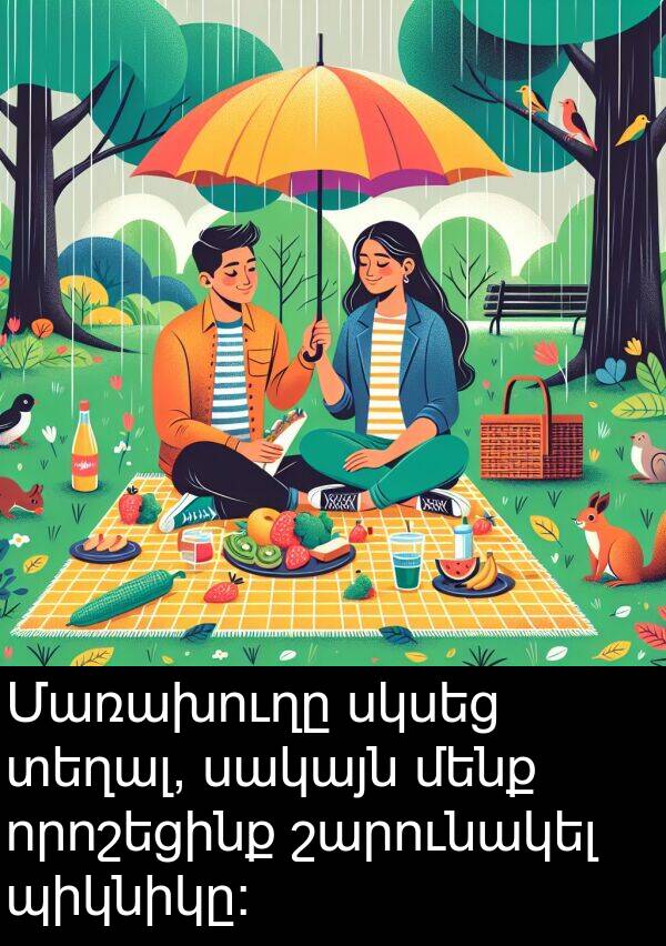 որոշեցինք: Մառախուղը սկսեց տեղալ, սակայն մենք որոշեցինք շարունակել պիկնիկը: