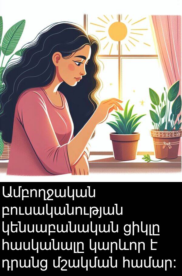 բուսականության: Ամբողջական բուսականության կենսաբանական ցիկլը հասկանալը կարևոր է դրանց մշակման համար: