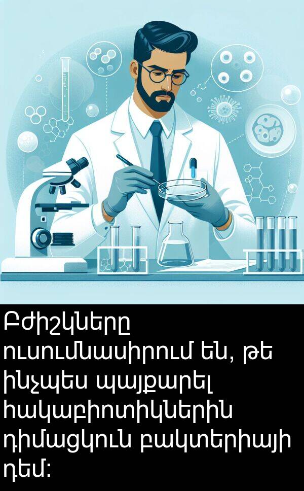 դեմ: Բժիշկները ուսումնասիրում են, թե ինչպես պայքարել հակաբիոտիկներին դիմացկուն բակտերիայի դեմ: