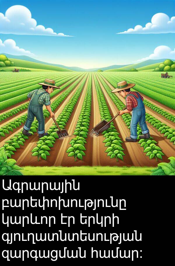 զարգացման: Ագրարային բարեփոխությունը կարևոր էր երկրի գյուղատնտեսության զարգացման համար։
