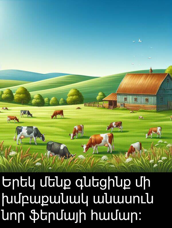 գնեցինք: Երեկ մենք գնեցինք մի խմբաքանակ անասուն նոր ֆերմայի համար: