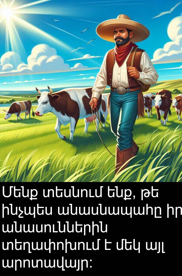 այլ: Մենք տեսնում ենք, թե ինչպես անասնապահը իր անասուններին տեղափոխում է մեկ այլ արոտավայր: