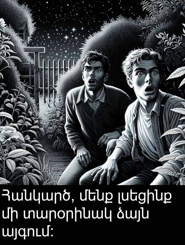 ձայն: Հանկարծ, մենք լսեցինք մի տարօրինակ ձայն այգում: