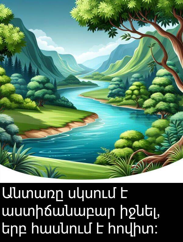 սկսում: Անտառը սկսում է աստիճանաբար իջնել, երբ հասնում է հովիտ։