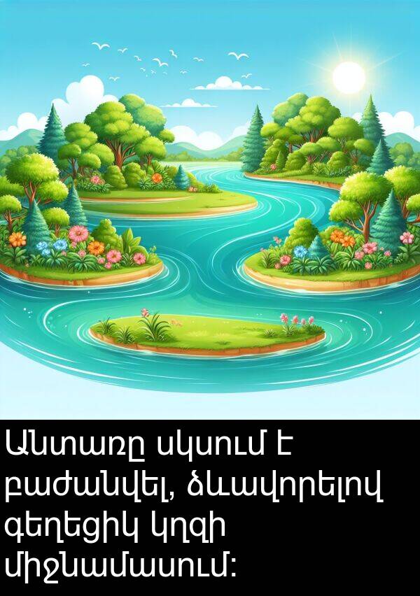 ձևավորելով: Անտառը սկսում է բաժանվել, ձևավորելով գեղեցիկ կղզի միջնամասում: