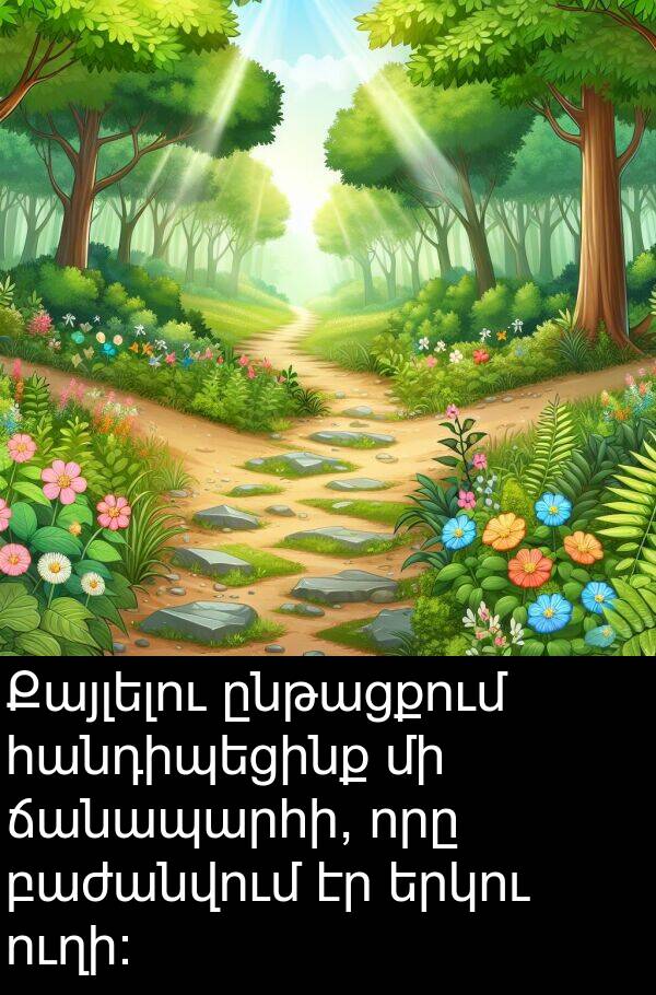 բաժանվում: Քայլելու ընթացքում հանդիպեցինք մի ճանապարհի, որը բաժանվում էր երկու ուղի: