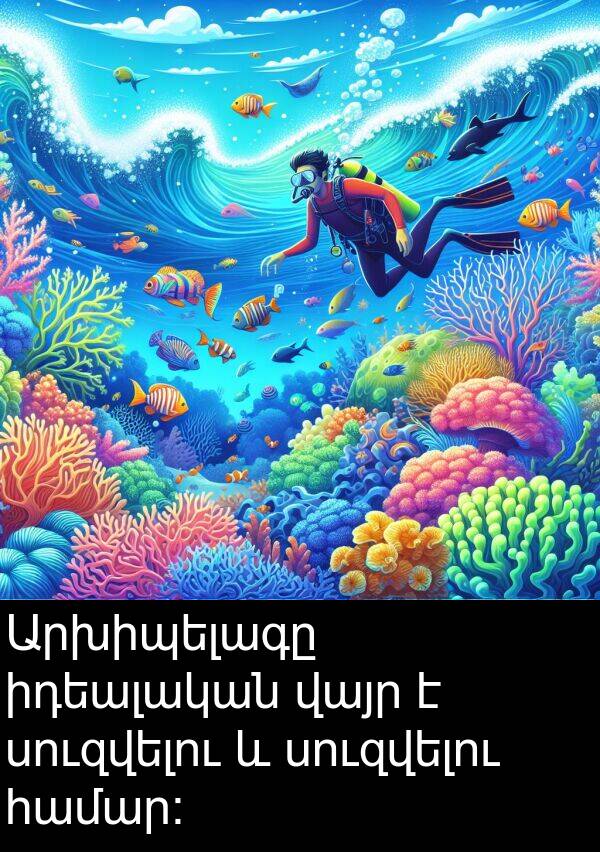 իդեալական: Արխիպելագը իդեալական վայր է սուզվելու և սուզվելու համար: