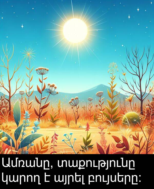 բույսերը։: Ամռանը, տաքությունը կարող է այրել բույսերը։