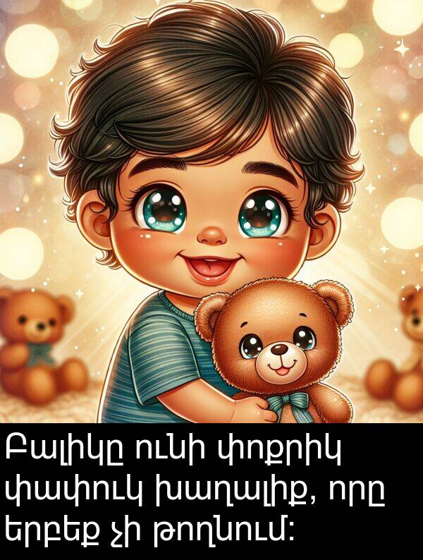 որը: Բալիկը ունի փոքրիկ փափուկ խաղալիք, որը երբեք չի թողնում։