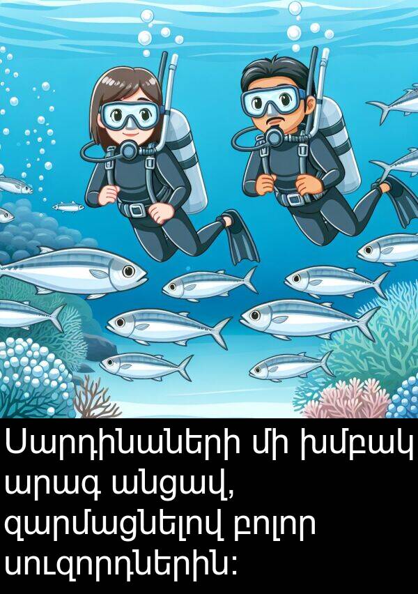 բոլոր: Սարդինաների մի խմբակ արագ անցավ, զարմացնելով բոլոր սուզորդներին:
