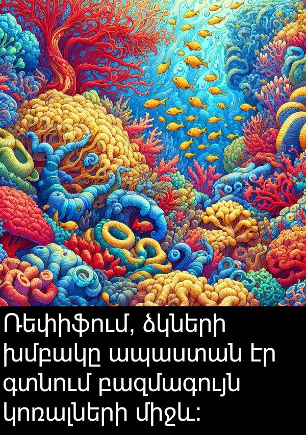 գտնում: Ռեփիֆում, ձկների խմբակը ապաստան էր գտնում բազմագույն կոռալների միջև: