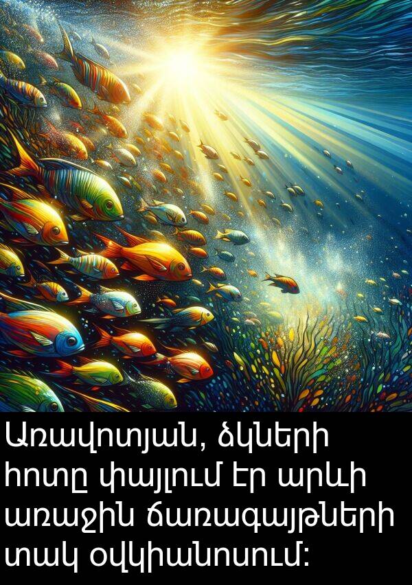 օվկիանոսում: Առավոտյան, ձկների հոտը փայլում էր արևի առաջին ճառագայթների տակ օվկիանոսում: