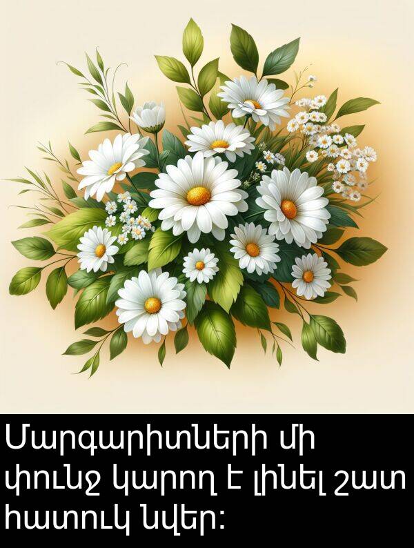 հատուկ: Մարգարիտների մի փունջ կարող է լինել շատ հատուկ նվեր: