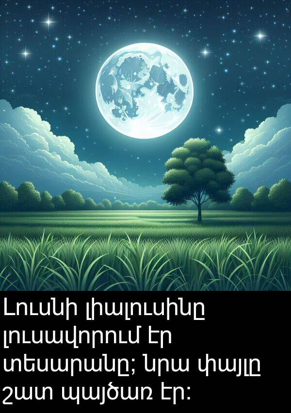 պայծառ: Լուսնի լիալուսինը լուսավորում էր տեսարանը; նրա փայլը շատ պայծառ էր։