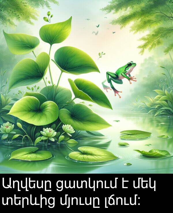 լճում: Աղվեսը ցատկում է մեկ տերևից մյուսը լճում: