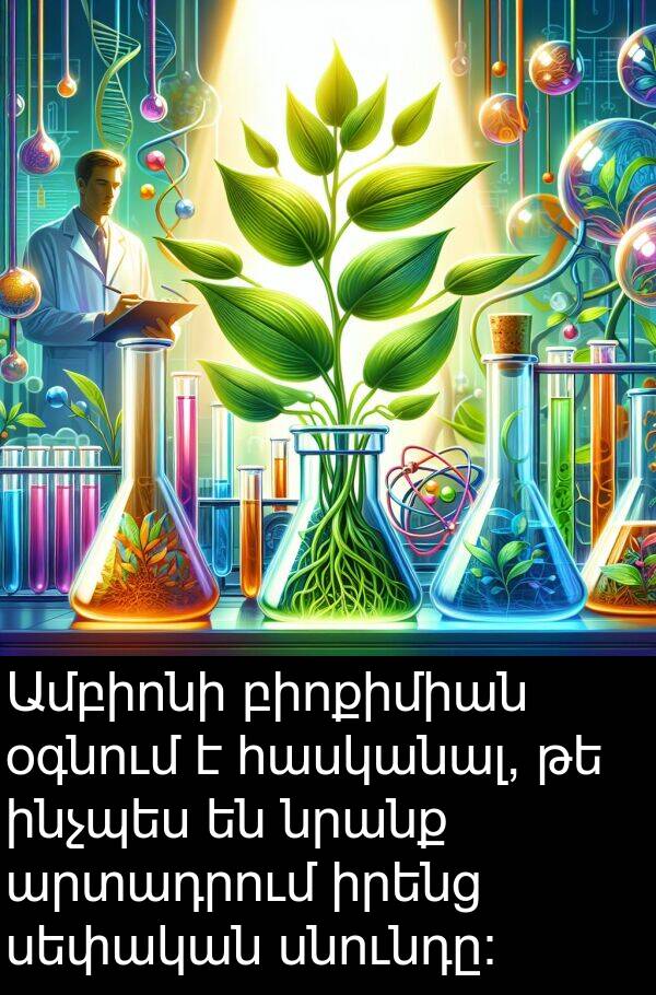 բիոքիմիան: Ամբիոնի բիոքիմիան օգնում է հասկանալ, թե ինչպես են նրանք արտադրում իրենց սեփական սնունդը: