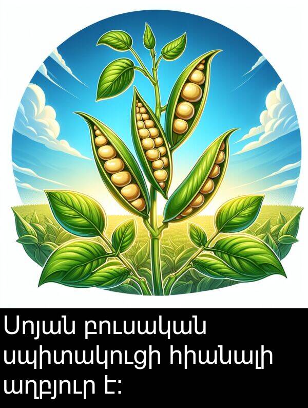 բուսական: Սոյան բուսական սպիտակուցի հիանալի աղբյուր է: