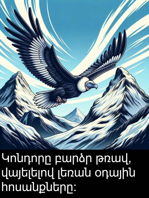 լեռան: Կոնդորը բարձր թռավ, վայելելով լեռան օդային հոսանքները: