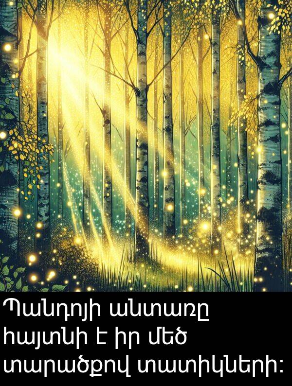 տարածքով: Պանդոյի անտառը հայտնի է իր մեծ տարածքով տատիկների։