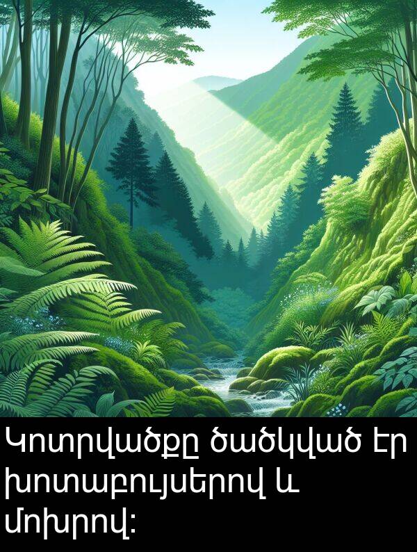 ծածկված: Կոտրվածքը ծածկված էր խոտաբույսերով և մոխրով։