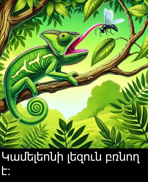 բռնող: Կամելեոնի լեզուն բռնող է: