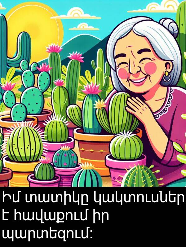 տատիկը: Իմ տատիկը կակտուսներ է հավաքում իր պարտեզում։