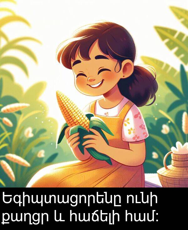 քաղցր: Եգիպտացորենը ունի քաղցր և հաճելի համ։
