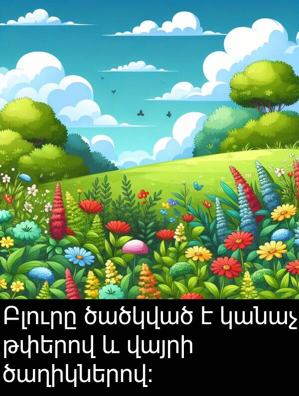 կանաչ: Բլուրը ծածկված է կանաչ թփերով և վայրի ծաղիկներով: