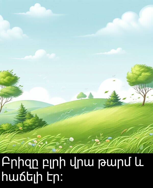 բլրի: Բրիզը բլրի վրա թարմ և հաճելի էր։