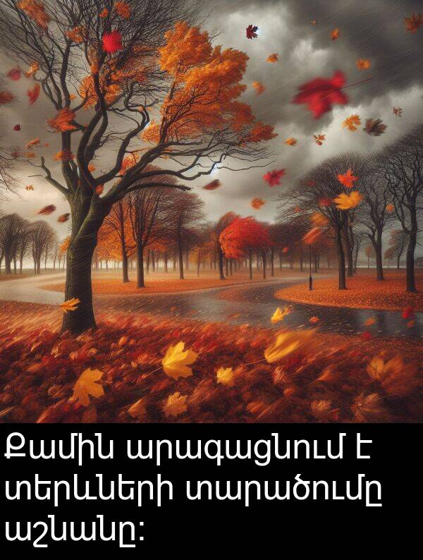 տարածումը: Քամին արագացնում է տերևների տարածումը աշնանը։