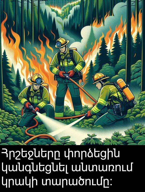 կանգնեցնել: Հրշեջները փորձեցին կանգնեցնել անտառում կրակի տարածումը։