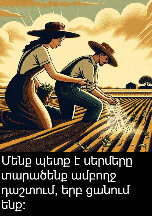 ցանում: Մենք պետք է սերմերը տարածենք ամբողջ դաշտում, երբ ցանում ենք։