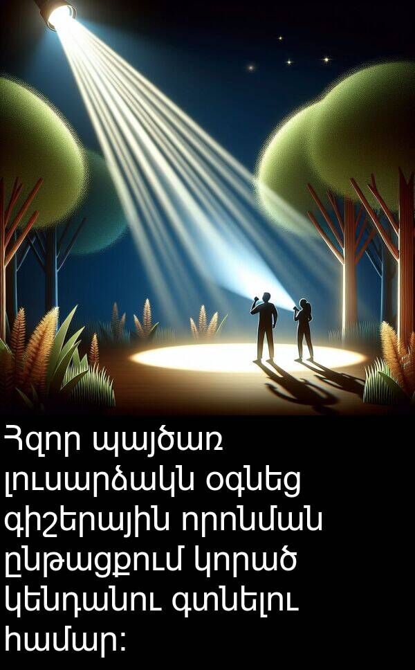 գտնելու: Հզոր պայծառ լուսարձակն օգնեց գիշերային որոնման ընթացքում կորած կենդանու գտնելու համար։