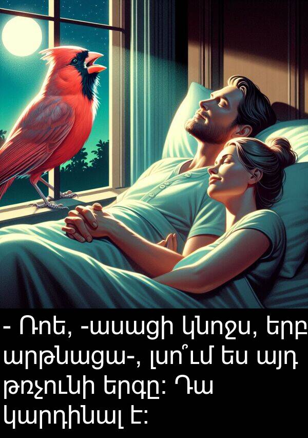 թռչունի: - Ռոե, -ասացի կնոջս, երբ արթնացա-, լսո՞ւմ ես այդ թռչունի երգը: Դա կարդինալ է։