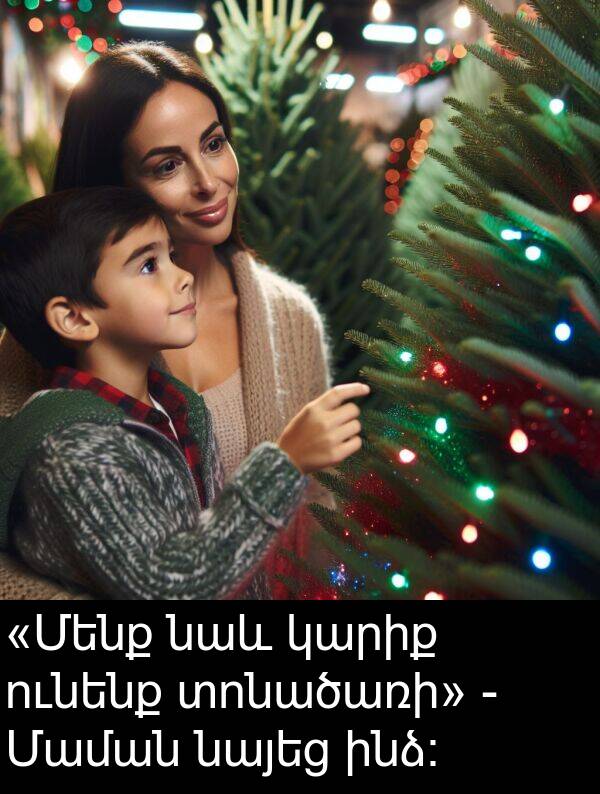 նաև: «Մենք նաև կարիք ունենք տոնածառի» - Մաման նայեց ինձ։