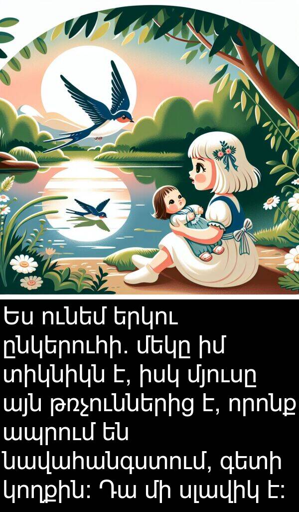 նավահանգստում: Ես ունեմ երկու ընկերուհի. մեկը իմ տիկնիկն է, իսկ մյուսը այն թռչուններից է, որոնք ապրում են նավահանգստում, գետի կողքին: Դա մի սլավիկ է: