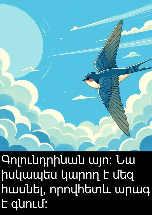 գնում։: Գոլունդրինան այո։ Նա իսկապես կարող է մեզ հասնել, որովհետև արագ է գնում։