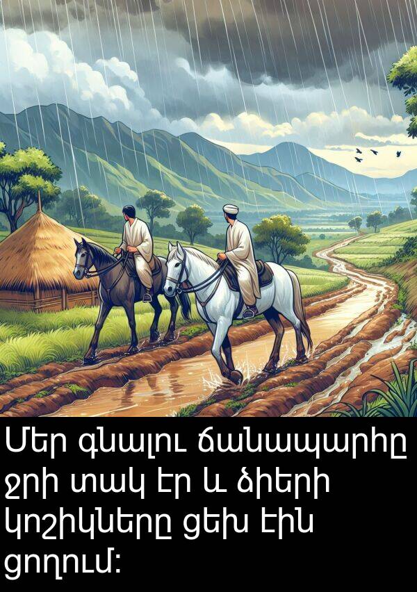 գնալու: Մեր գնալու ճանապարհը ջրի տակ էր և ձիերի կոշիկները ցեխ էին ցողում։