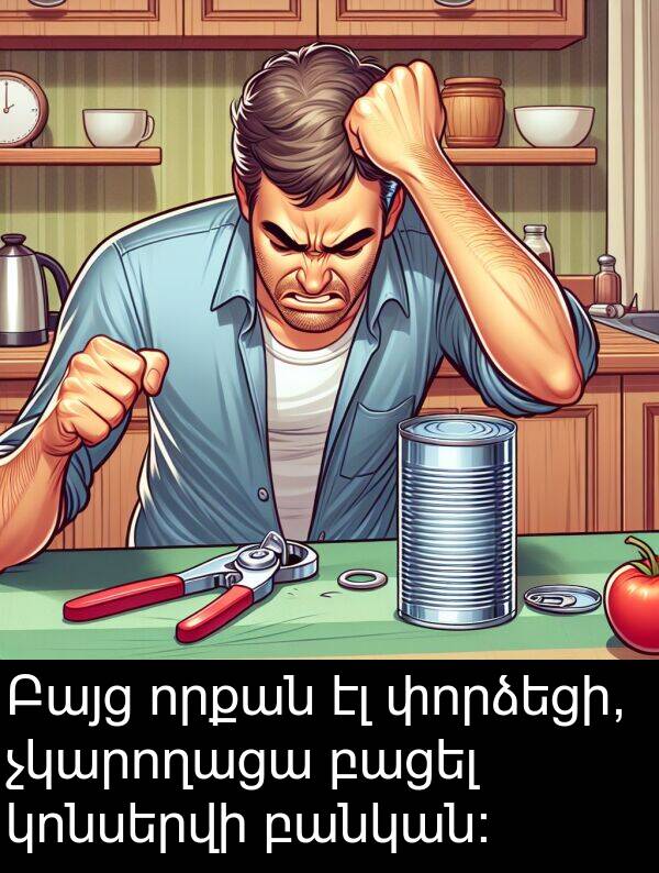 բացել: Բայց որքան էլ փորձեցի, չկարողացա բացել կոնսերվի բանկան։